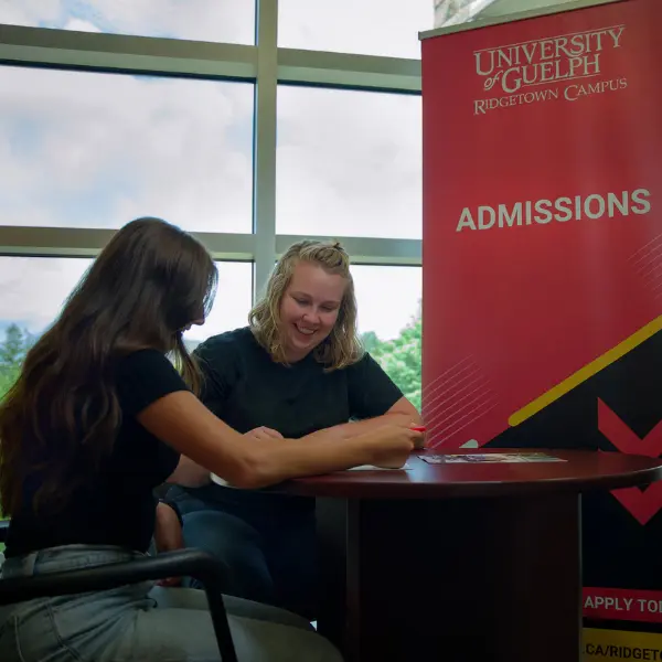 Photo of student at desk with a campus staff person in discussion.