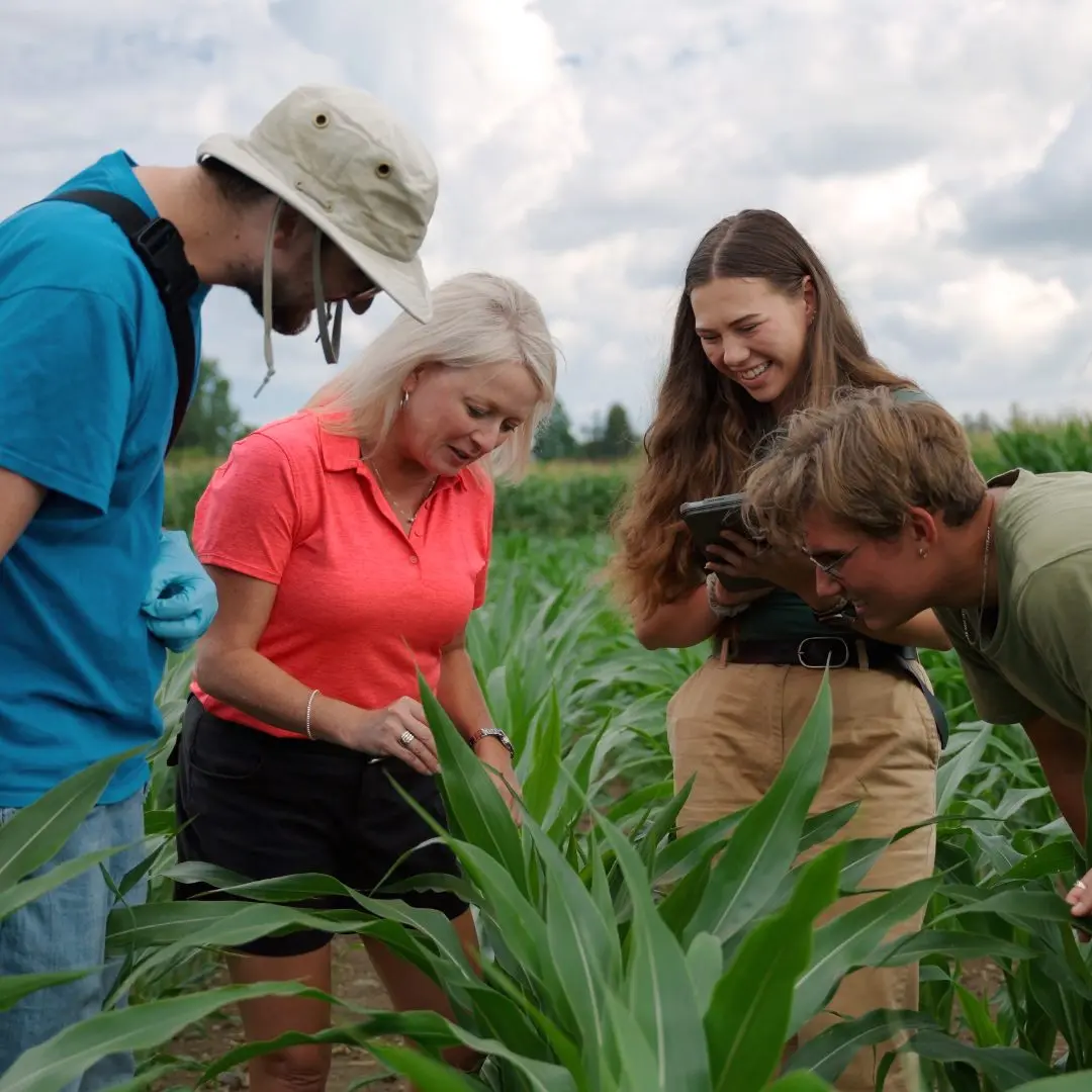 Photo of students with instructor in corn field examining plants.