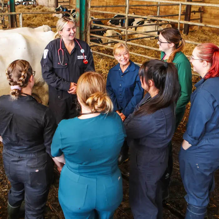 Photo of students in dairy barn