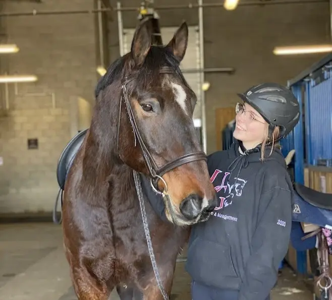 Photo of student standing beside horse holder halter.