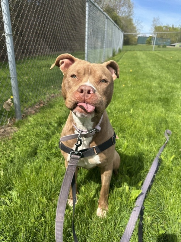 Delilah